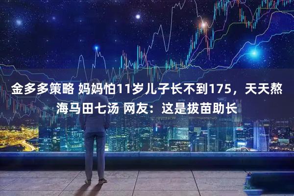 金多多策略 妈妈怕11岁儿子长不到175，天天熬海马田七汤 网友：这是拔苗助长