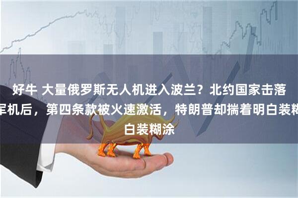 好牛 大量俄罗斯无人机进入波兰？北约国家击落俄军机后，第四条款被火速激活，特朗普却揣着明白装糊涂