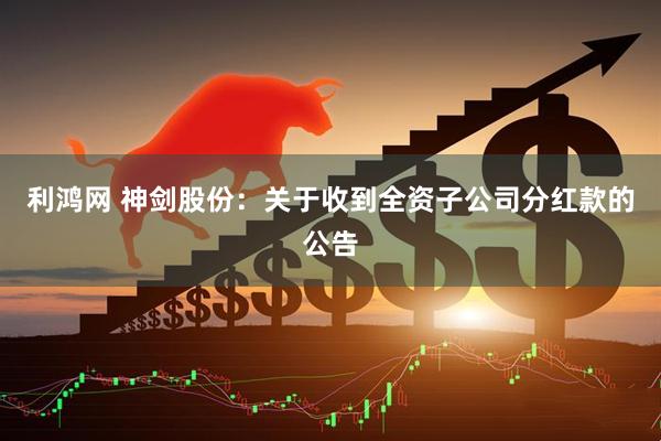 利鸿网 神剑股份：关于收到全资子公司分红款的公告